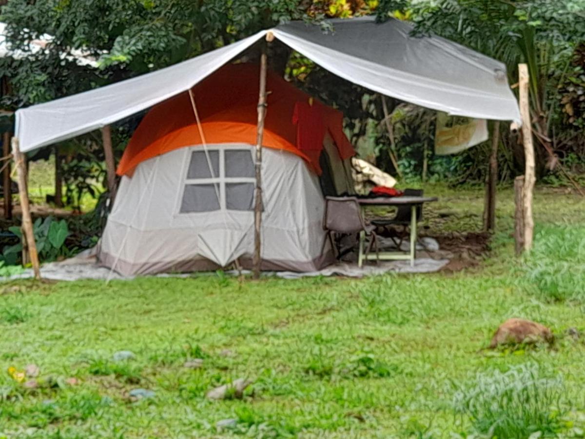3 Rivers Eco Lodge Rosalie Eksteriør bilde