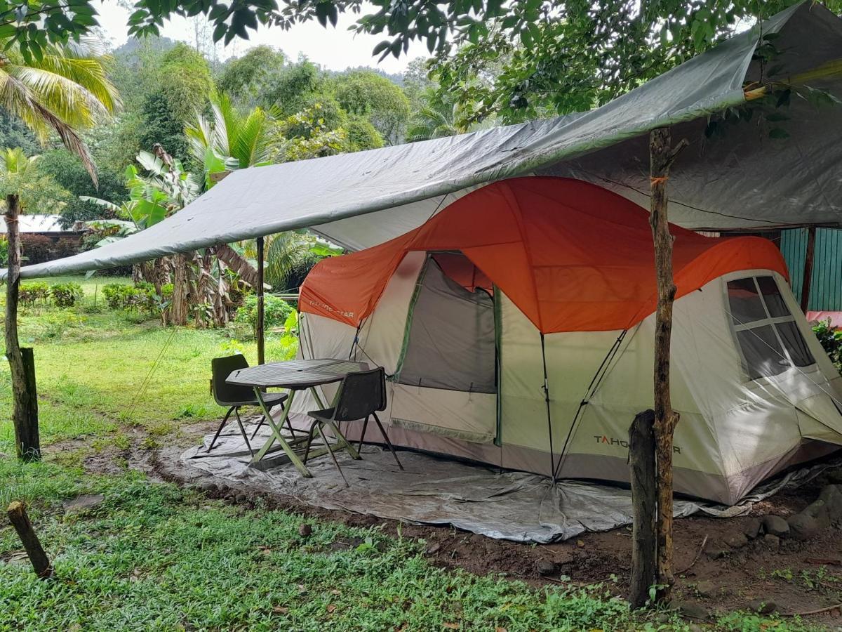 3 Rivers Eco Lodge Rosalie Eksteriør bilde