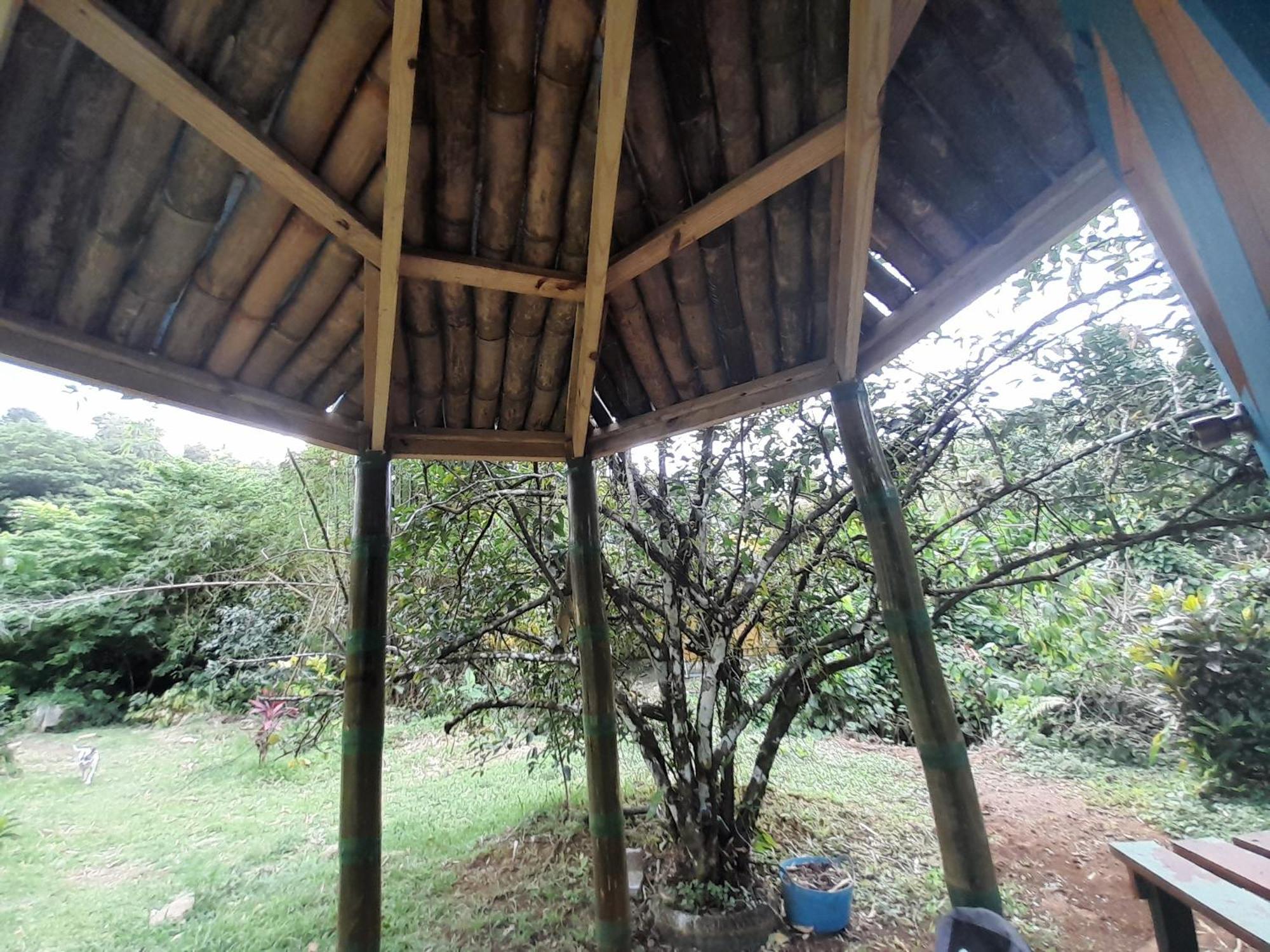 3 Rivers Eco Lodge Rosalie Rom bilde