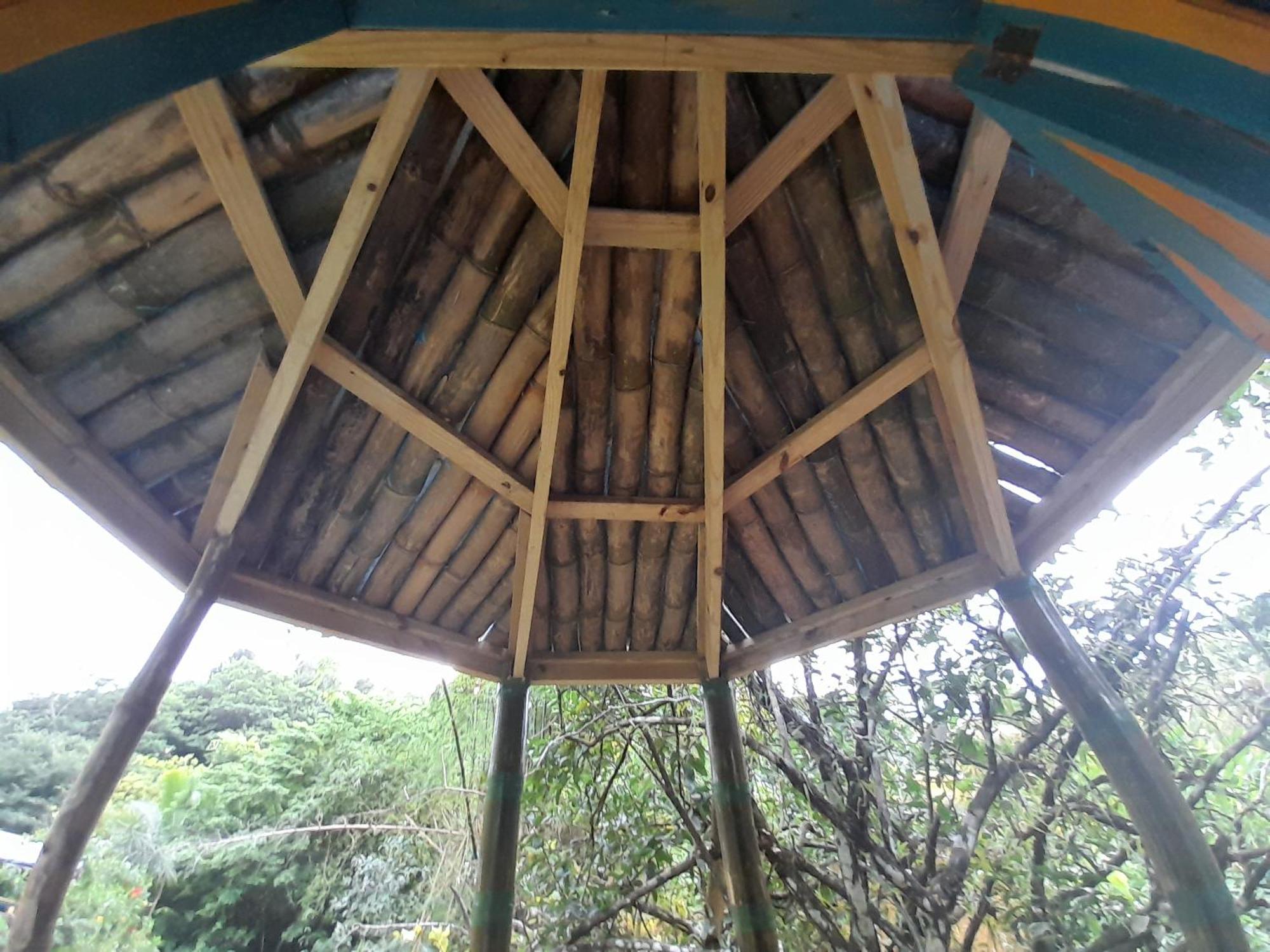 3 Rivers Eco Lodge Rosalie Rom bilde