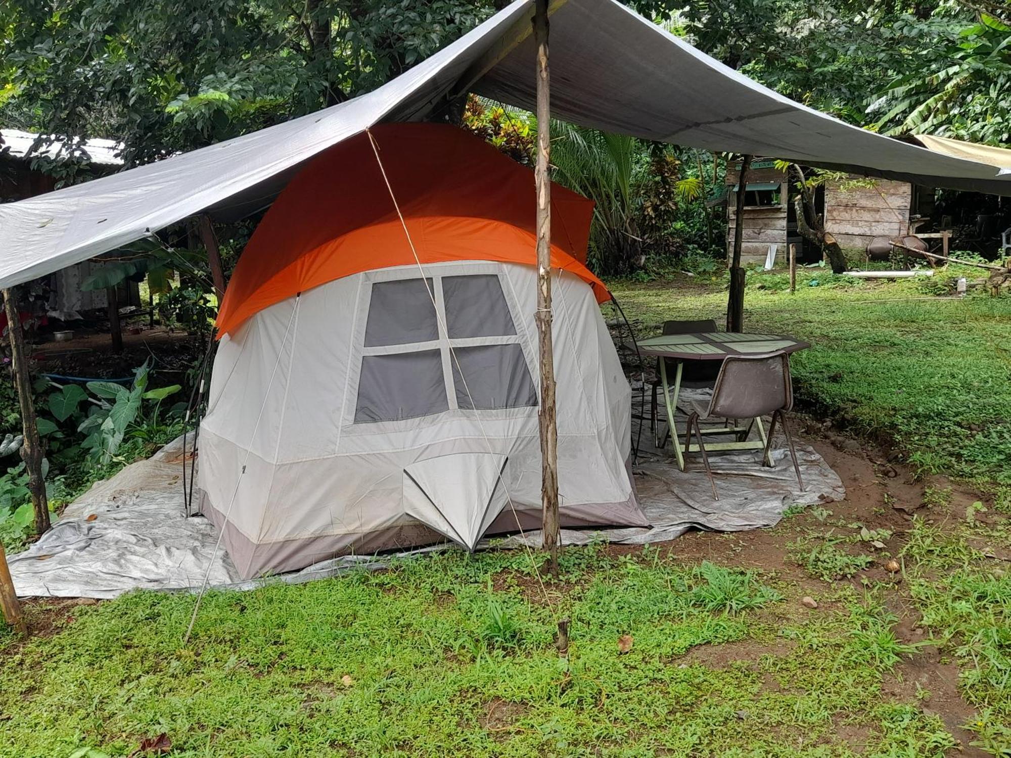 3 Rivers Eco Lodge Rosalie Rom bilde
